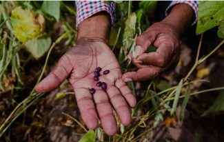 Pescadores abordo de una lancha